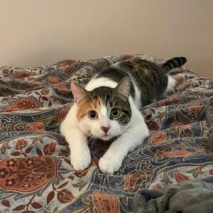 Meet your Posher, Margot